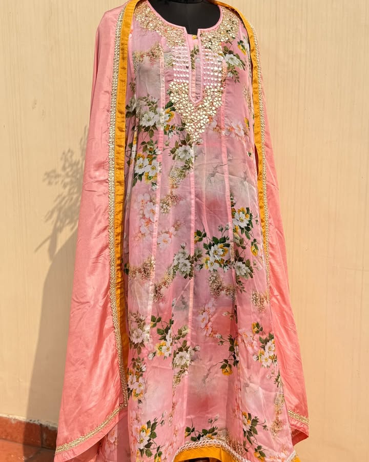 Stunning Silk Organza Anarkali